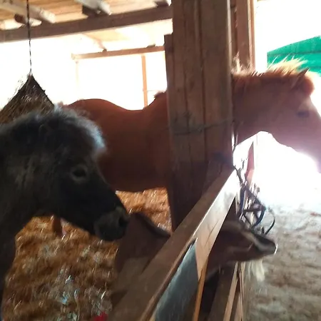 Bauernhof Hoeper-rauert - Reihenhaus 4 Apartament